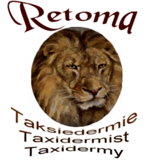 Taxidermy Retoma - Taxidermists in Outjo, Namibia