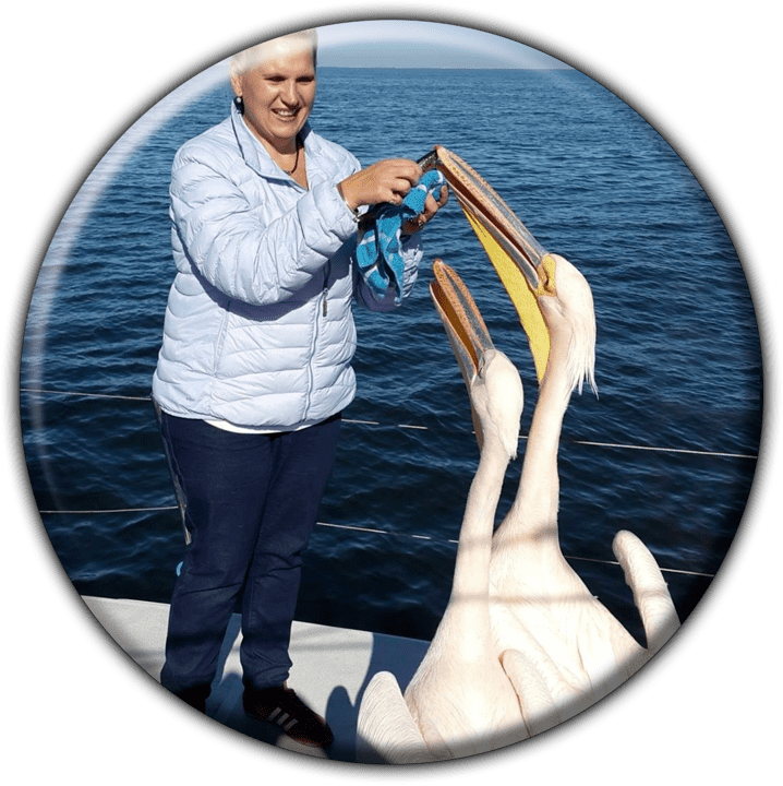 Namibia Dolphin and Seal Catamaran Cruises - Tours and Safaris Operators in Walvis Bay, Namibia